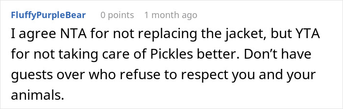 Comment on a forum discussing a woman refusing to replace her nephew&rsquo;s jacket ruined by dog&rsquo;s accident.