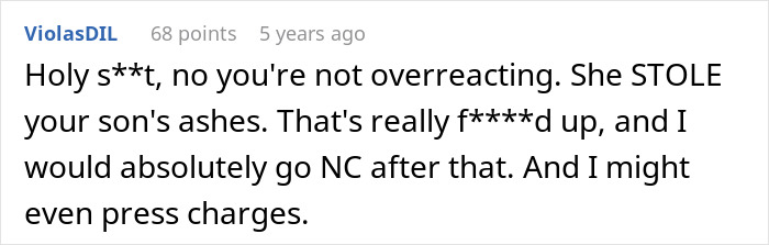 Comment expressing outrage over entitled grandma causing family drama by stealing grandson&rsquo;s ashes and suggesting legal action.
