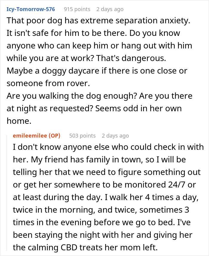 Screenshot of a Reddit conversation about a friend needing to board a dog with separation anxiety for proper care.