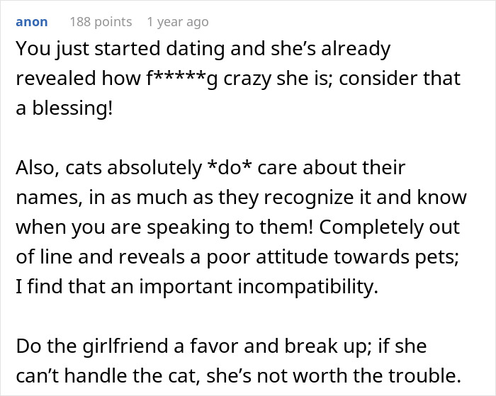 Screenshot of a Reddit comment discussing a woman furious her partner won’t rename their cat, revealing relationship issues. - 17
