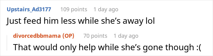 Screenshot of a Reddit comment thread discussing a woman calling out her sister about her severely overweight cat. - 23
