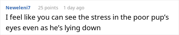 Comment text on a white background discussing the stress visible in a dog's eyes while lying down, relating to insist friend board dog.