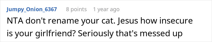 Comment criticizing a woman furious her partner won't rename their cat, calling her insecure and messed up. - 36
