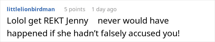 Screenshot of an online comment arguing about a misunderstanding between co-parents, mentioning false accusations.