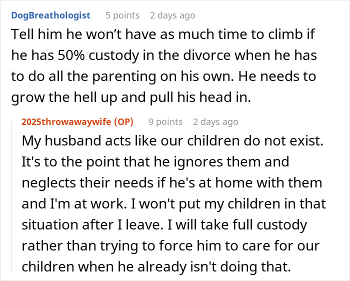 Screenshot of an online discussion where a mom explains her husband&rsquo;s neglect impacting their marriage and children&rsquo;s custody plans.