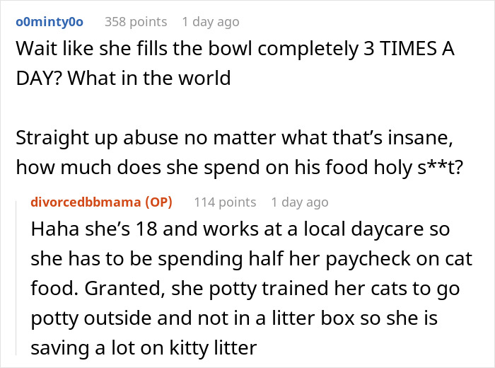 Screenshot of an online discussion about a woman’s severely overweight cat and concerns over its food intake. - 19