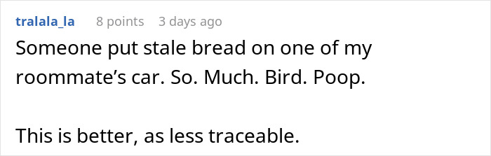 Comment about roommate’s car blocked in driveway, with mention of stale bread and bird poop as petty revenge for truck blockage. - 15
