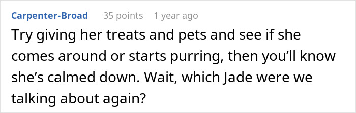 Screenshot of an online comment discussing pets and calming a cat amidst a partner disagreement about renaming the cat. - 24