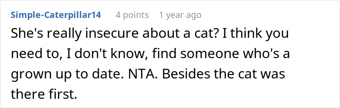 User discussing partner refusing to rename cat, sharing opinions on insecurity and pet ownership. - 39
