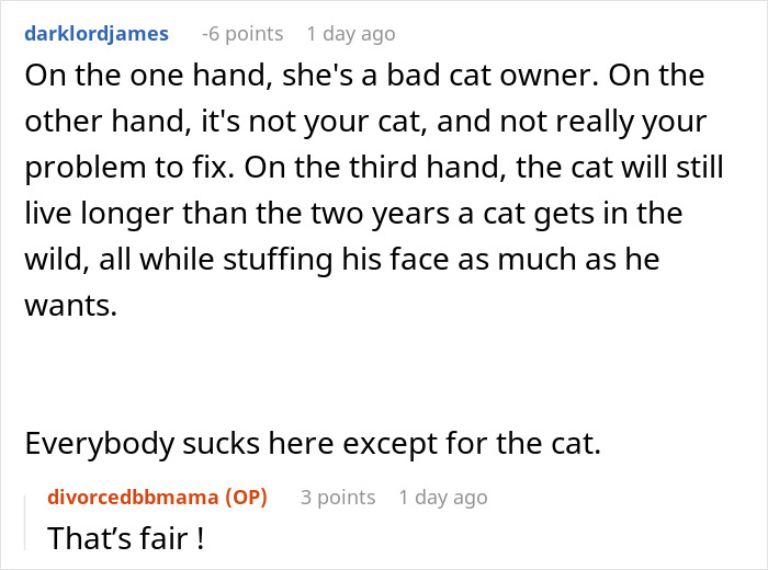 Reddit comments discussing a severely overweight cat and its owner's responsibility in caring for the pet. - 31