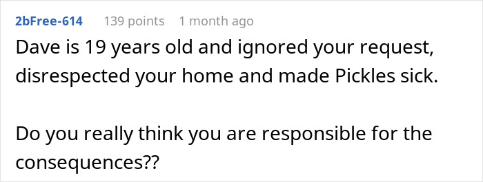 Text from a user comment explaining a 19-year-old ignored warnings, disrespected the home, and caused a dog&rsquo;s accident.