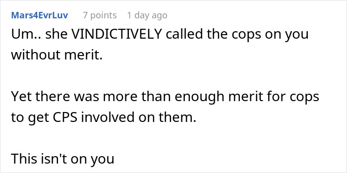 Comment discussing vindictive behavior and CPS involvement during a misunderstanding between co-parents escalating conflicts