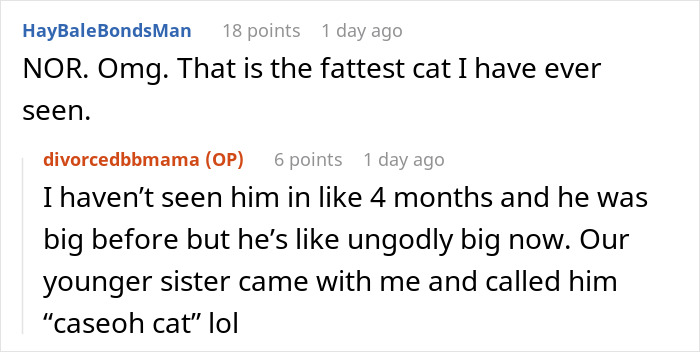 Screenshot of an online discussion about a severely overweight cat noticed by a woman and her sister. - 28