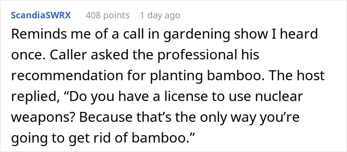 Comment about gardening show discussing the difficulty of removing bamboo, relating to domestic violence victim escape.