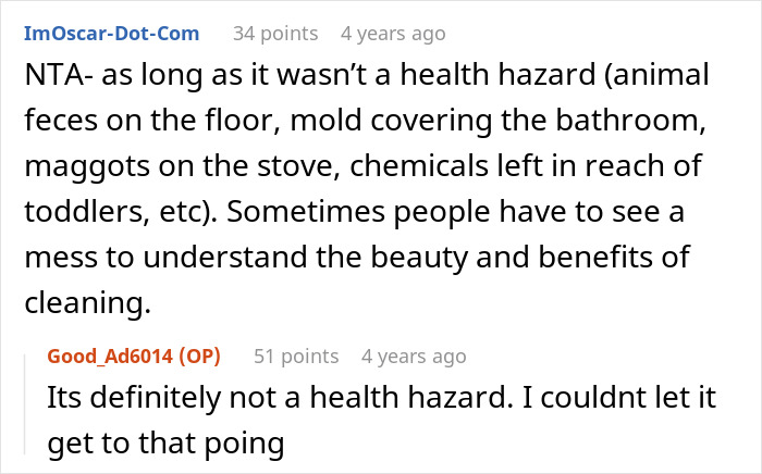 Comment discussion about a mother letting family live in filth to teach a lesson about cleaning and responsibility.