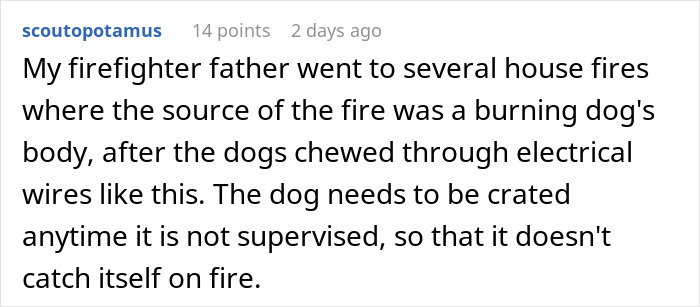 Comment about a firefighter&rsquo;s advice to insist a friend board a dog to prevent fire hazards from chewing wires.