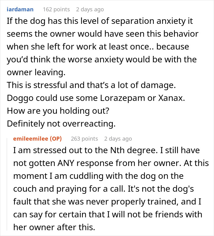 Comments discussing a friend insisting on boarding a dog with separation anxiety and stress from the situation.