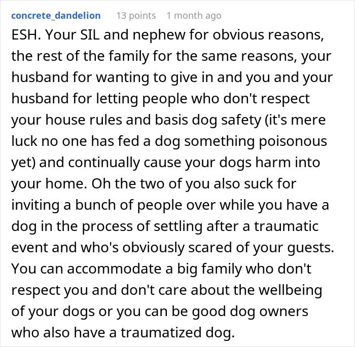 Comment discussing woman refusing to replace nephew&rsquo;s jacket after dog accident, highlighting ignored warnings and family conflict.
