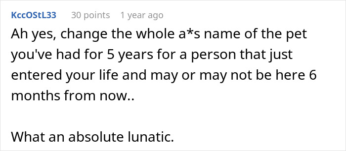 Screenshot of an online comment criticizing a partner for wanting to rename a cat after 5 years. - 27