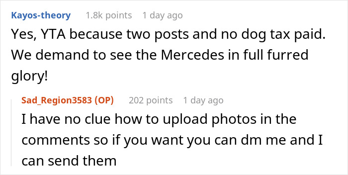 Screenshot of an online discussion where a woman is shocked after being told to also shave her dog for the bride’s wishes. - 39