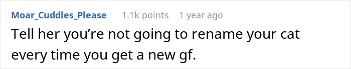 Screenshot of a comment about a woman furious her partner won’t rename the cat for her, highlighting a traumatic childhood mention. - 13