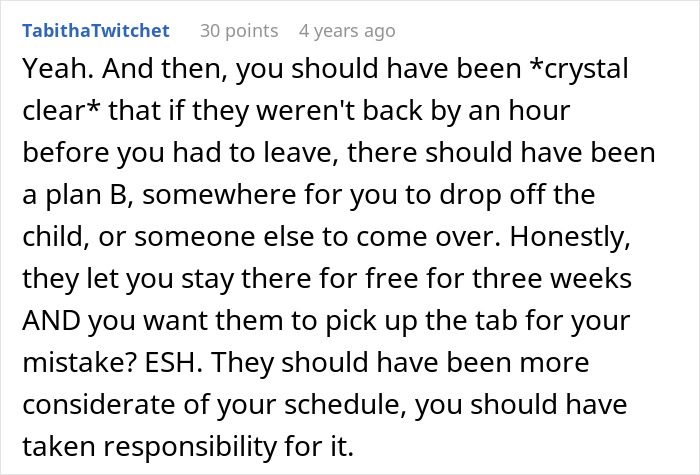Comment on woman missing flight while babysitting niece, discussing responsibility and compensation from parents. - 34