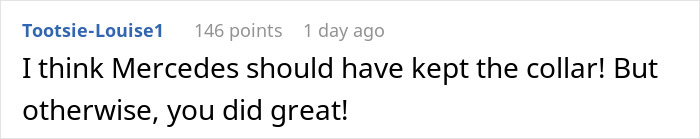 Woman bending over backward for bride's wishes, shocked when told to also shave dog during event preparation. - 42