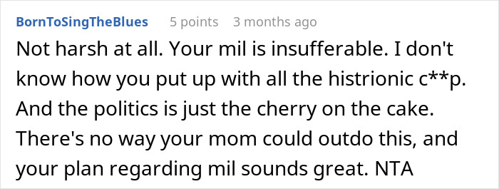 Screenshot of an online comment discussing a woman upset about her sister-in-law taking her daughter away and causing family tension.