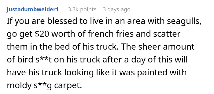 Text comment describing petty revenge on a truck blocking a driveway, involving seagulls and bird droppings as retaliation. - 10