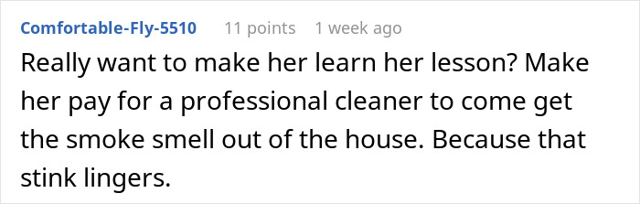 Comment about woman creating a mess in sister-in-law’s home and facing unexpected reality check. - 30