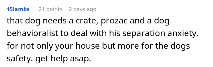 Comment about a dog&rsquo;s separation anxiety suggesting a crate, Prozac, and a behavioralist for safety and care.
