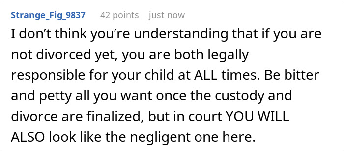 Screenshot of online comment discussing custody responsibilities and consequences of neglect during custody weeks. Screenshot of online comment discussing custody responsibilities and consequences of neglect during custody weeks.