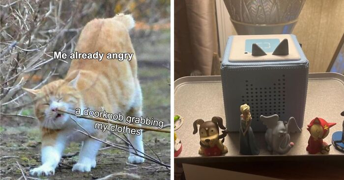 Forget The Boring Stuff, These 21 Prime Day Treasures Are What You Really Want