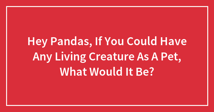 Hey Pandas, If You Could Have Any Living Creature As A Pet, What Would It Be?