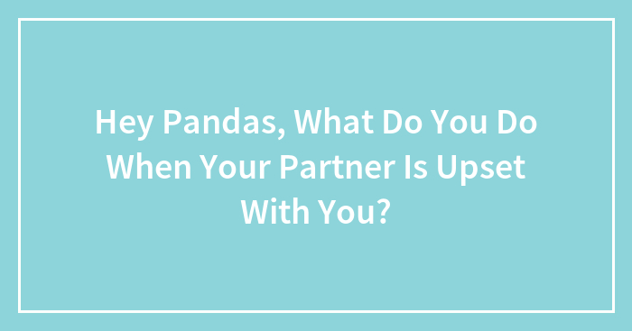 Hey Pandas, What Do You Do When Your Partner Is Upset With You? (Closed)