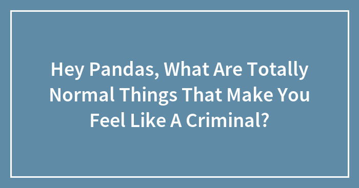 Hey Pandas, What Are Totally Normal Things That Make You Feel Like A Criminal?