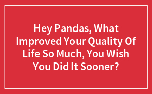 Hey Pandas, What Improved Your Quality Of Life So Much, You Wish You Did It Sooner?