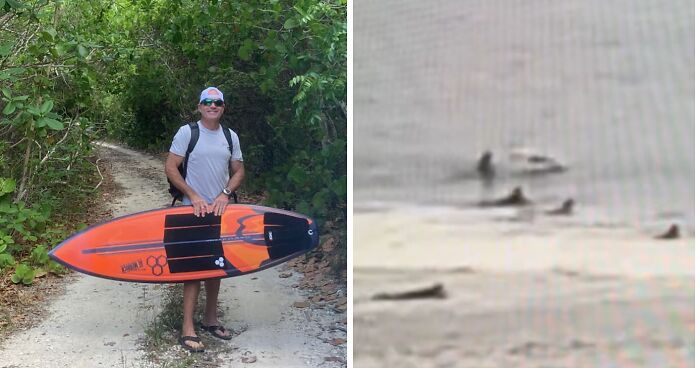 “[I’m] Happy Its Mouth Wasn’t Open”: Florida Surfer Headbutted By Flying Shark In Wild Viral Video