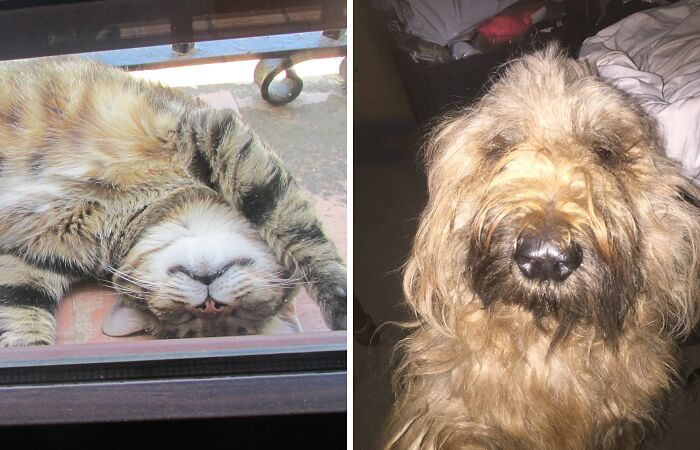 Hey Pandas, Share Your Most Recent Photo From Your Camera Roll That You’ve Taken (Closed)