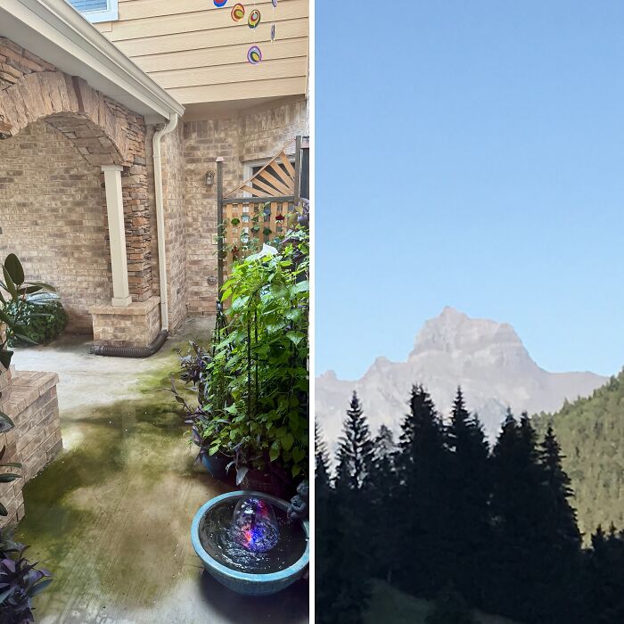 Hey Pandas, Post Your Current View Outside The Window (Closed)