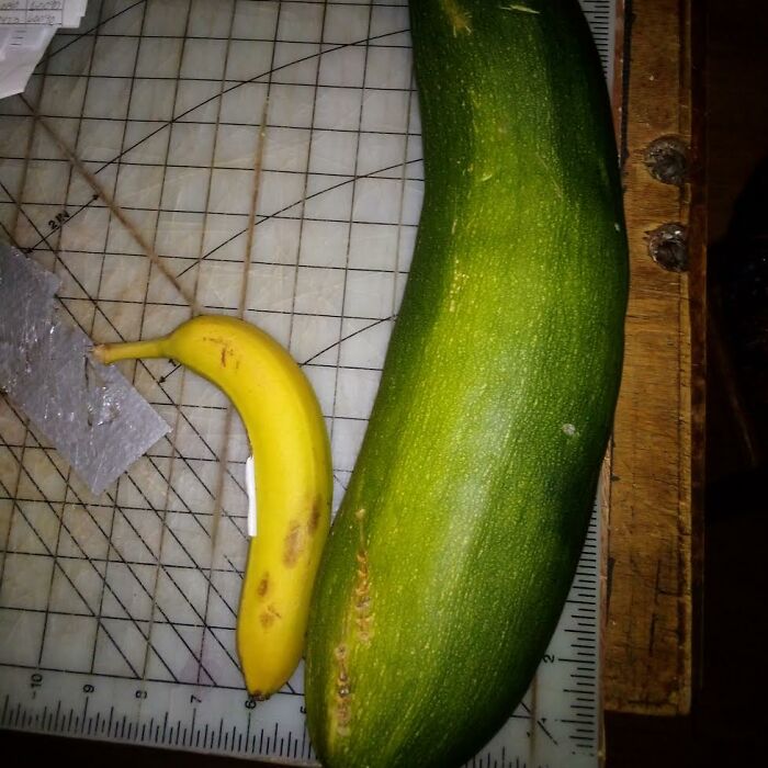 Hey Pandas, Share A Photo Of A Giant Version Of An Everyday Item You Found (Closed)