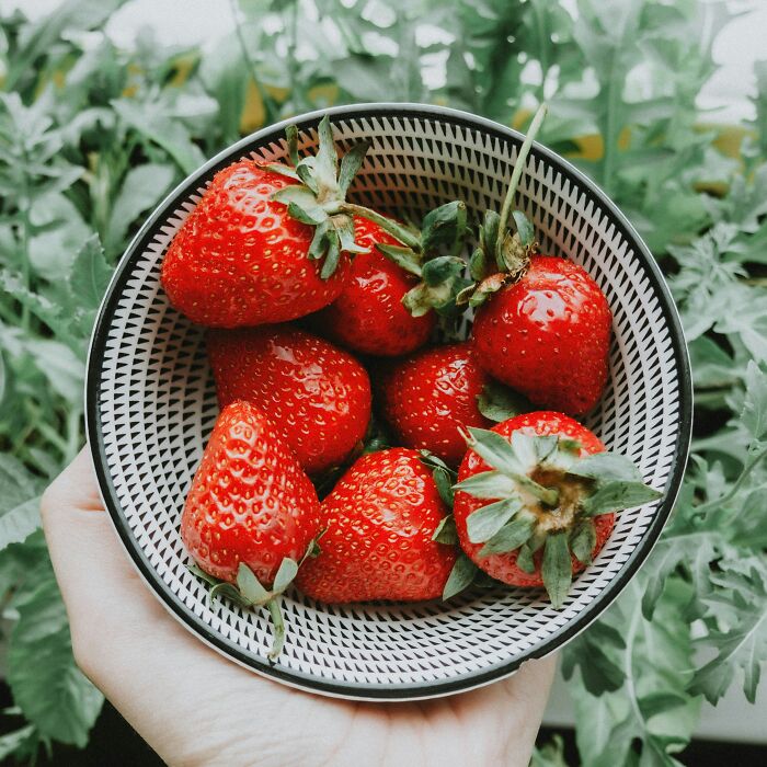 Hey Pandas, Post A Picture Of Your Go-To Summer Treat (Closed)