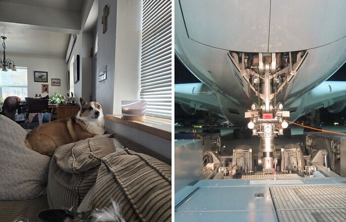 Hey Pandas, Scroll 20 Photos Deep In Your Gallery And Post What’s There (Closed)