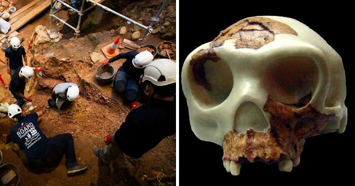 Archaeologists Discover Gruesome Evidence That Prehistoric Ancestors Ate Toddlers Like Prey