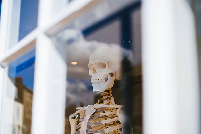 Skeleton model visible through a window, representing creepy and terrifying facts about the human body and mortality.
