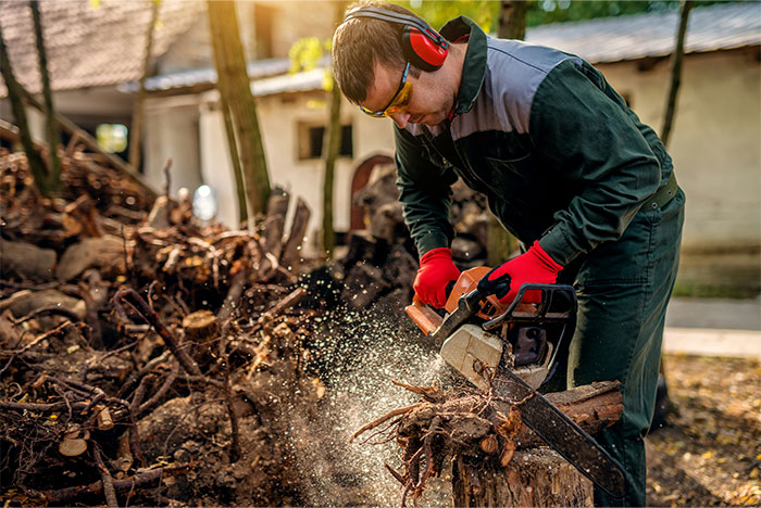 Man wearing safety gear cutting wood with a chainsaw surrounded by debris, illustrating creepy and terrifying facts.