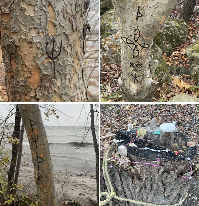 Carvings of mysterious symbols and eerie objects found in the forest showing creepy and terrifying discoveries.