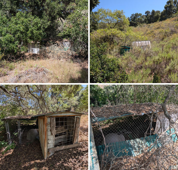 Abandoned rusted cages and structures hidden among dense forest vegetation and overgrown brush.