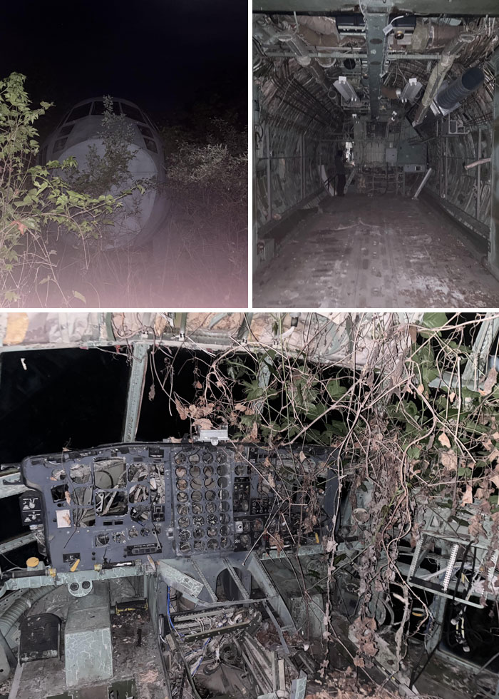 Abandoned airplane wreckage overgrown with vines and plants, one of the most creepy and terrifying things found in the forest.