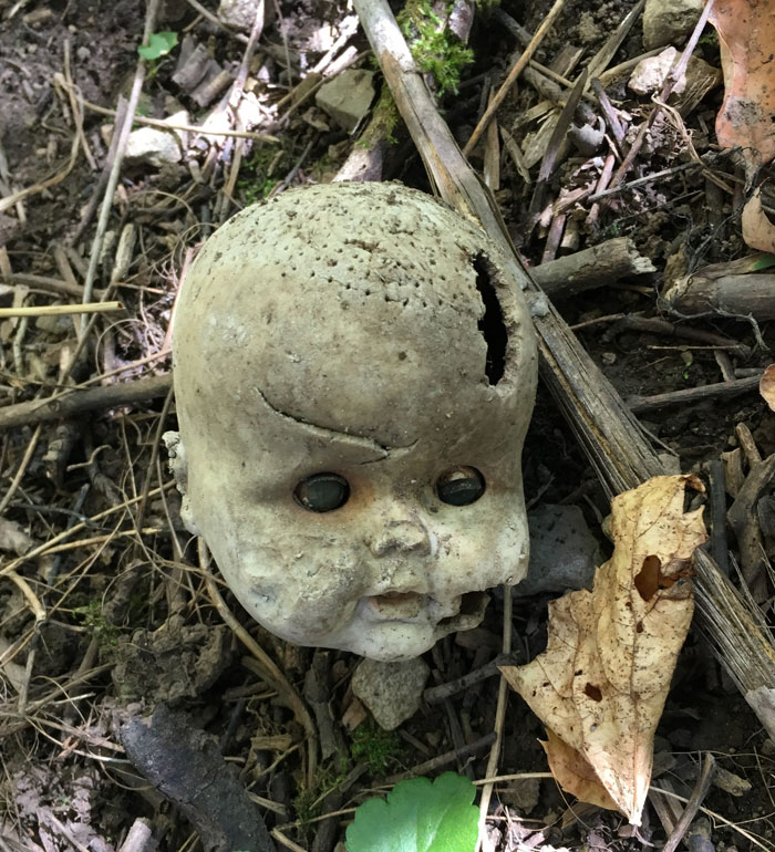 Old c*****d doll head with hollow eyes and missing parts lying on forest floor among twigs and dry leaves, creepy forest find.